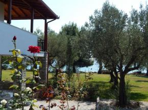 Eleni Beach Apartments